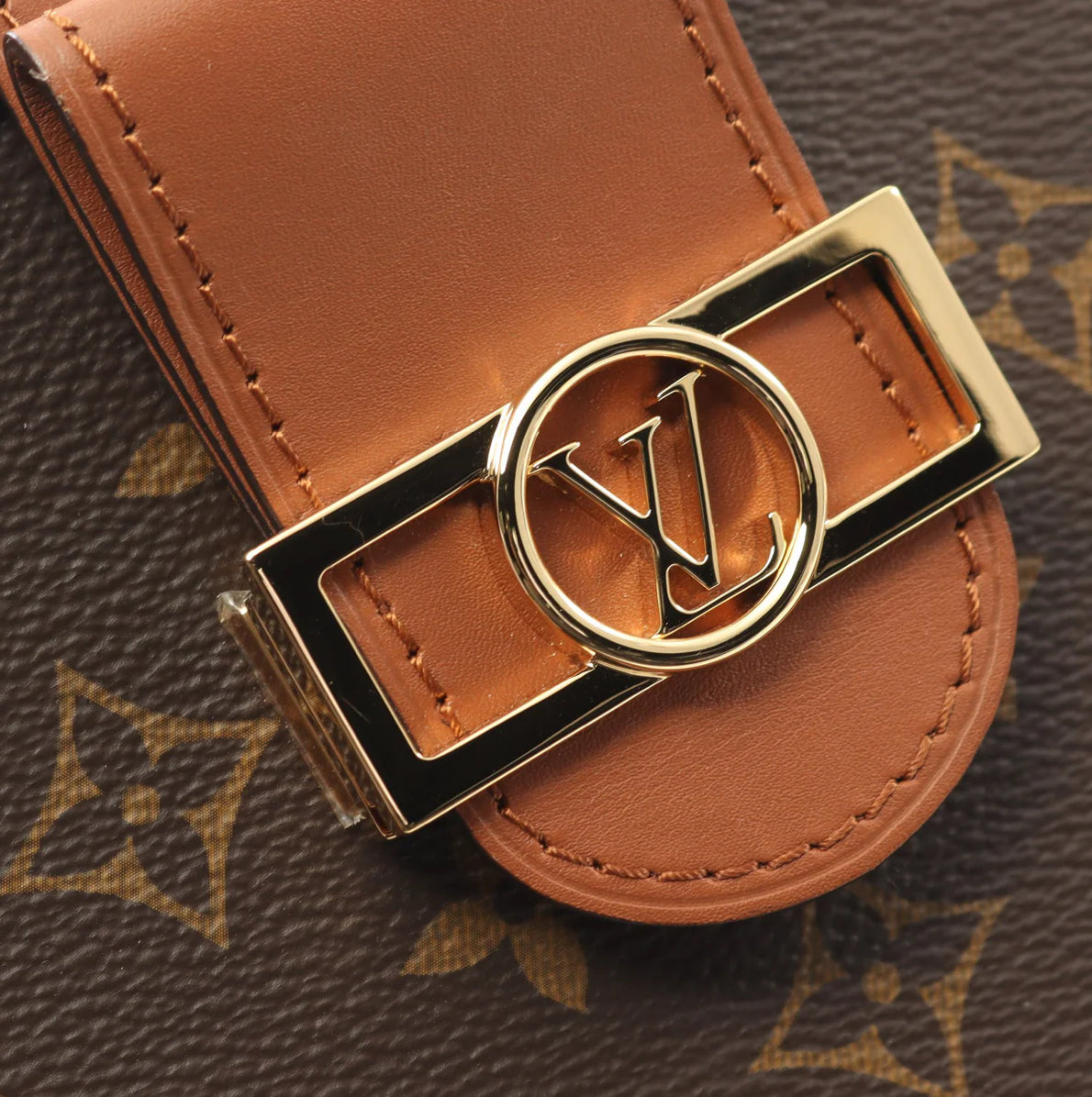 Louis Vuitton Dauphine Reverse Monogram Pochette