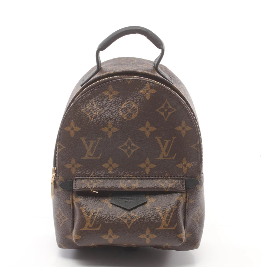 Louis Vuitton Monogram Palm Springs Mini Backpack