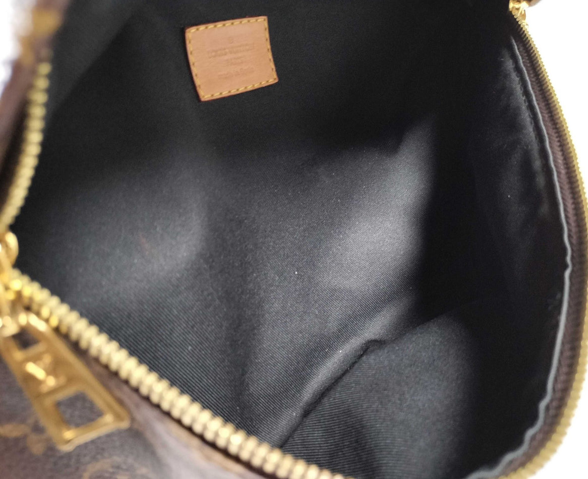Louis Vuitton Monogram Bumbag