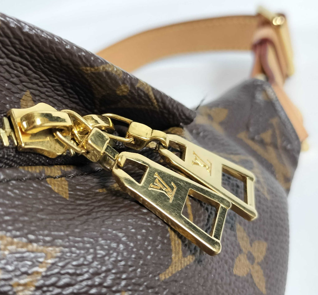 Louis Vuitton Monogram Bumbag