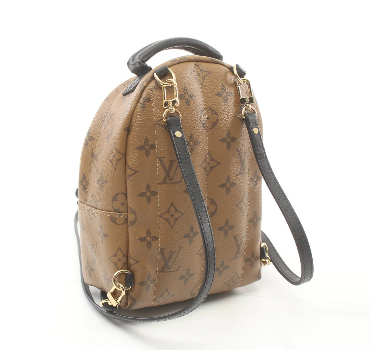 Louis Vuitton Palm Springs Mini Reverse Monogram